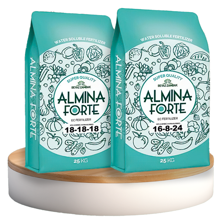 ALMİNA FORTE