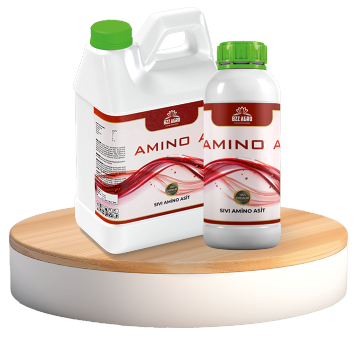 AMINO A