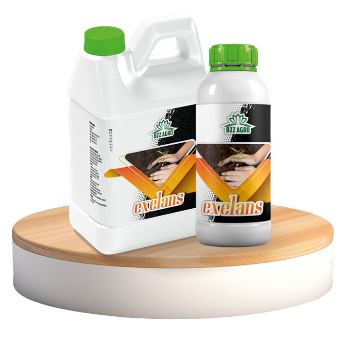 EXELANS