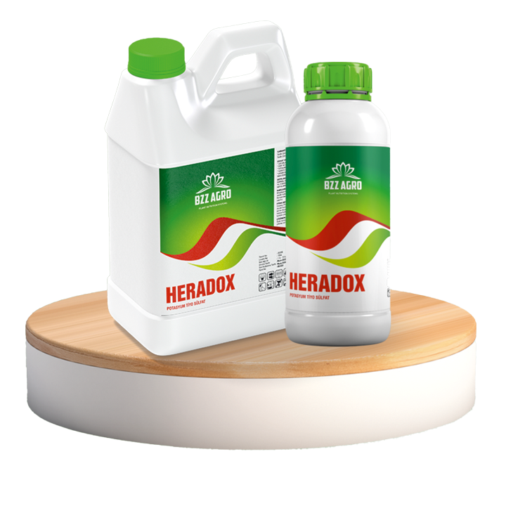 HERADOX