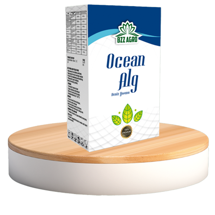 OCEAN ALG